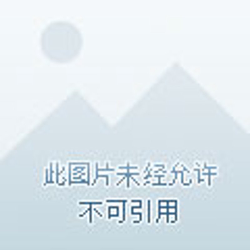 进出口代理，对于中小企业来说既是一项重要业务，也是一道难题。今天我们就来探讨一下如何选择合适的进出口代理服务。